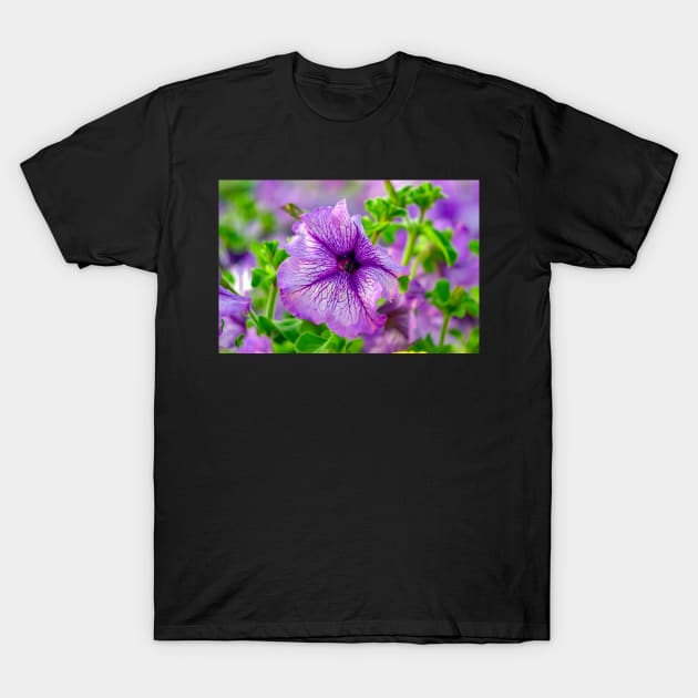 iris flower T-Shirt by likbatonboot